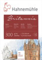 Britannia Akadémia raw akvarelový blok 30x40 cm, Hahnemühle