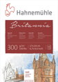 Britannia Akadémia matný akvarelový blok 30x40 cm, Hahnemühle