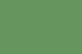 Jablkovo zelený fotokartón 50x70cm, 25ks