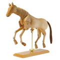 model koňa 20 cm 