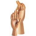 model pravej ruky 17 cm , Seng