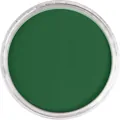 Permanent Green Extra Dark číslo farby 640.1, Ultra Soft pastel, Pan Pastel®