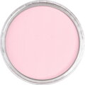 Permanent Red Tint, číslo farby 340.8 – ultra mäkký pastel PanPastel®