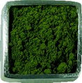 machovo zelená pigment, Guardi
