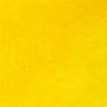 kadmium žlté svetlé rýchloschnúca olejová farba, Winsor & Newton