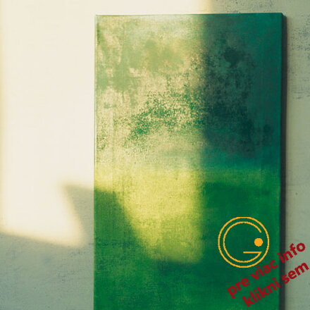 Primus plátno 50 x 60 cm